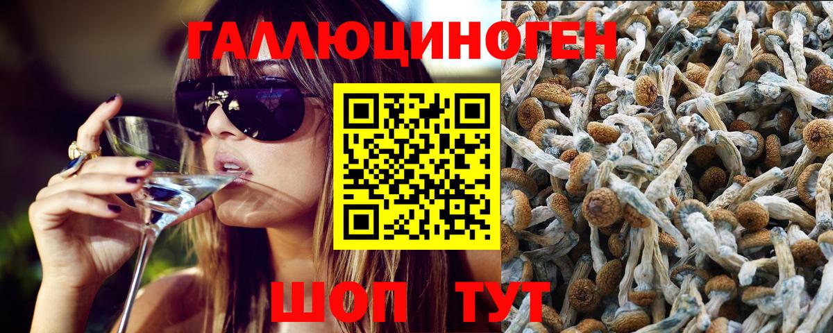 Псилоцибиновые грибы мухоморы Павловский Посад