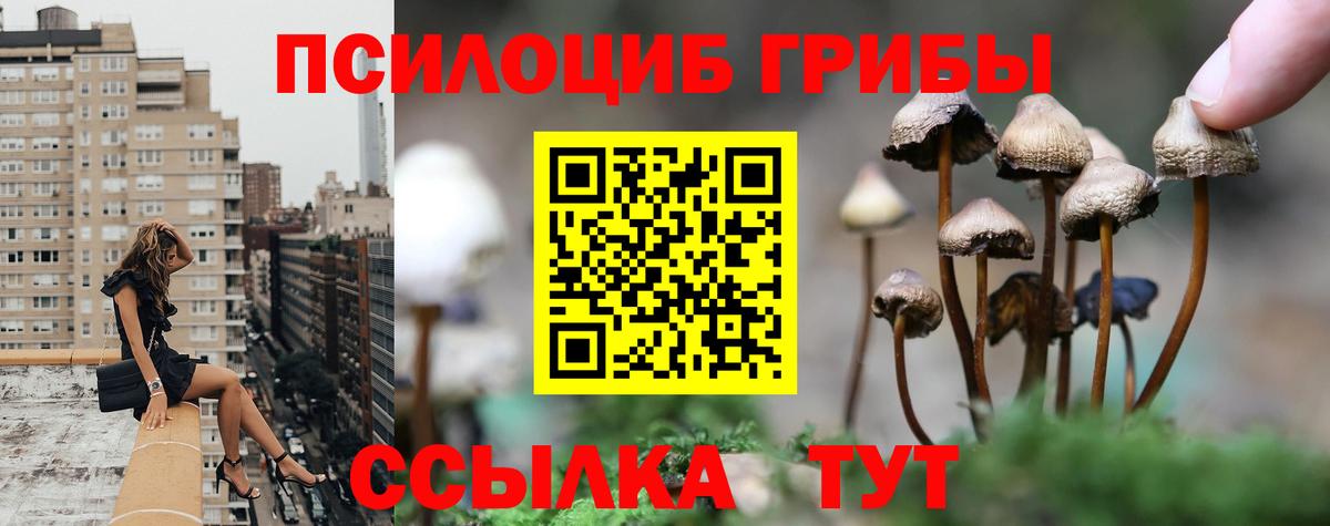 Alpha PVP Павловский Посад